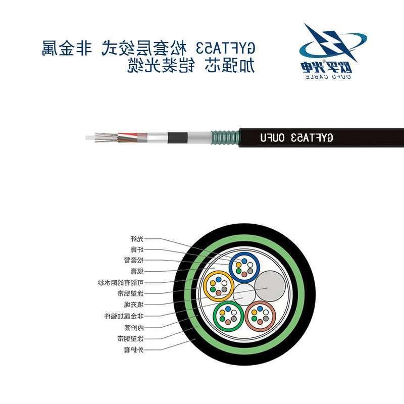 赣州市GYFTA53光缆